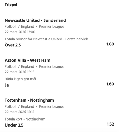 Skärmavbild 2026-03-21 kl. 21.29.06